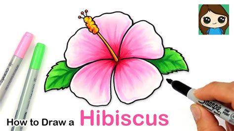 How To Draw A Easy Hawaiian Flower Step By Best Flower Site