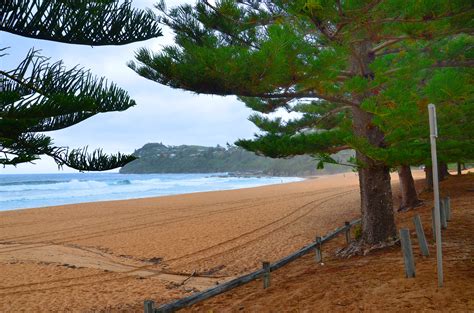 Whale Beach - Manly & Northern Beaches Australia