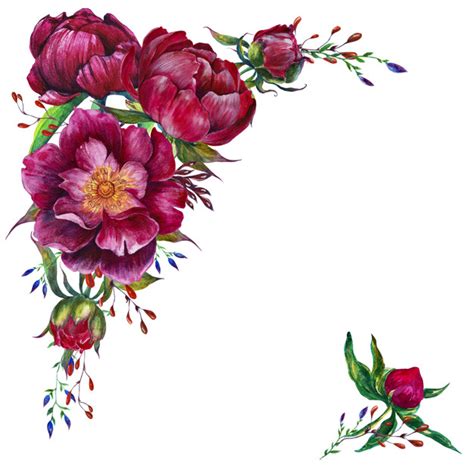 Le peonie, fiori meravigliosi, detti anche rose senza spine.raccolta di immagini in liberta' con sottofondo musicale. Cornice rotonda con peonie acquerellate e fiori grafici ...