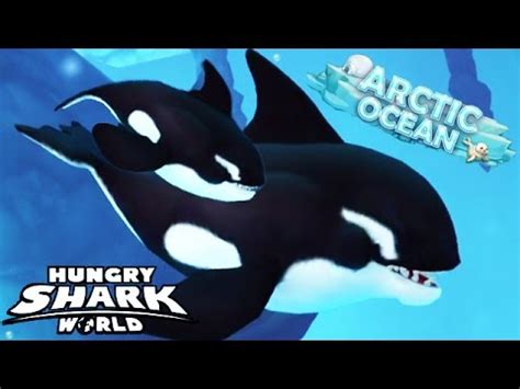Tier character in hungry shark world. Hungry Shark World - New Map - Arctic Ocean (Killer Whales ...