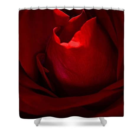 Red Rose Shower Curtain By Charles Muhle Rose Shower Curtain Red Roses Curtains