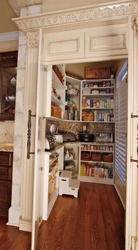 Cool Pantry Ideas For A Small Kitchen Viraldecorations Pantry