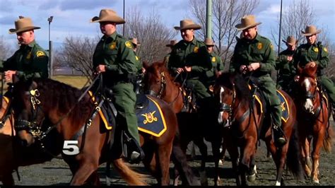 8 Mustangs From Rgv Sector Horse Patrol To March On Inauguration Day