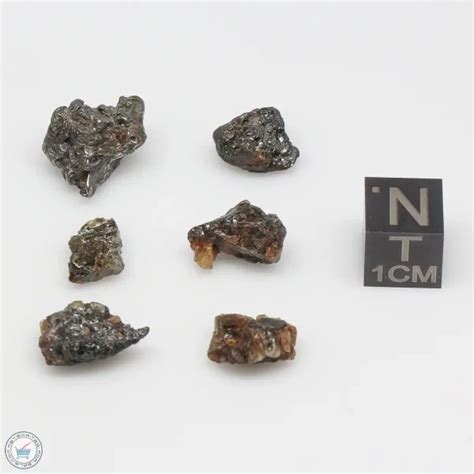 Admire Pallasite Meteorite Nuggets Admc 4