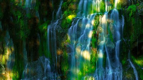 Waterfalls From Algae Covered Rock With Sunlight Hd Nature Wallpapers