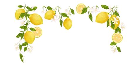 12348 Best Lemon Border Images Stock Photos And Vectors Adobe Stock