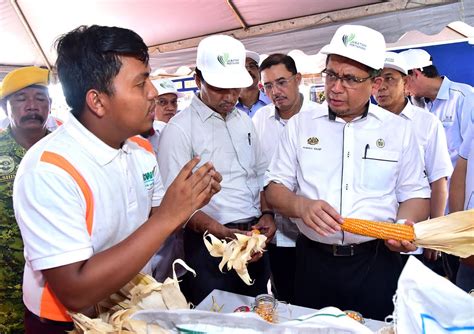 5 green world genetics sdn bhd 广润种源国际有限公司 top 10 province's production 19 m ha vegetable market 2012 seed. Terengganu Bakal Pengeluar Makanan Ternakan Terbesar ...