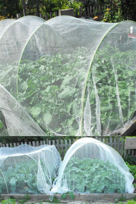Bugs Out Pest Control Garden Insect Barrier Netting Organic Protect For