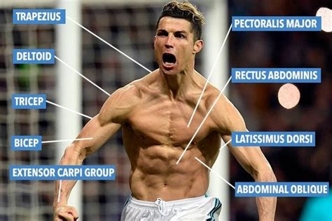 Why Does Cristiano Ronaldo Look For Ripped And Fit At 36 Quora