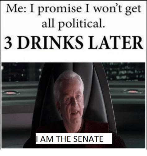 Me I Promise I Wont Get All Political 3 Drinks Later I Am The Senate
