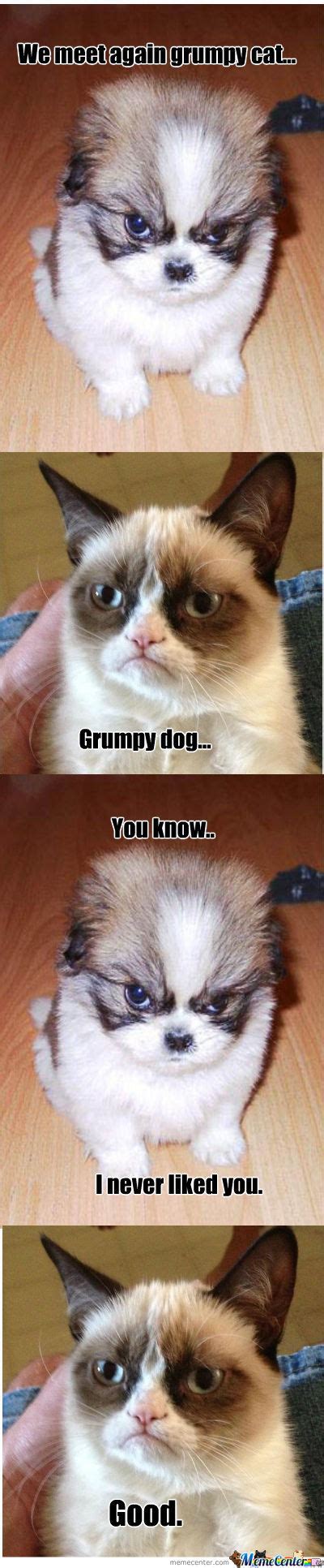 Grumpy Dog Vs Grumpy Cat By Recyclebin Meme Center
