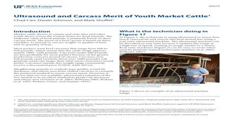 Pdf Ultrasound And Carcass Merit Of Youth Market Cattle · Ultrasound And Carcass Merit Of