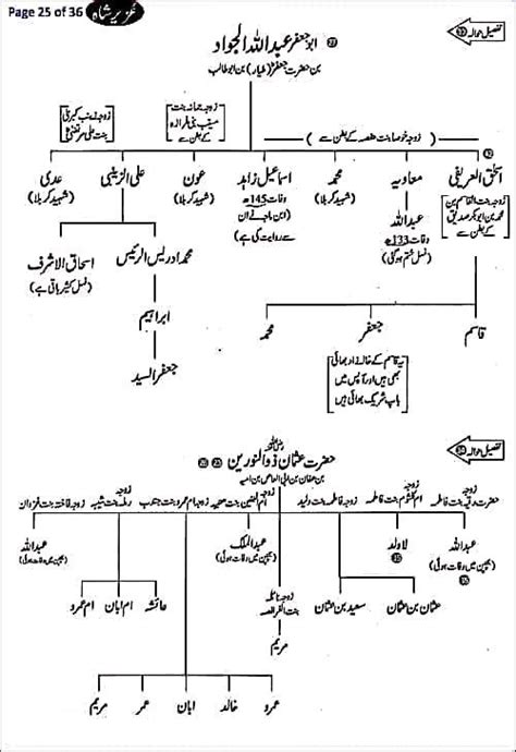 Hazrat Adam To Hazrat Muhammad Tree