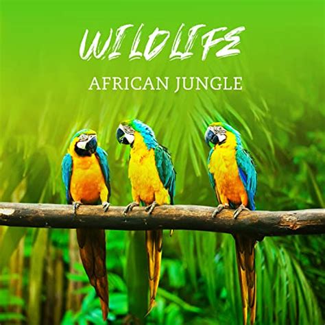 Play Wildlife African Jungle Safari Adventure Amazon Forest Flute