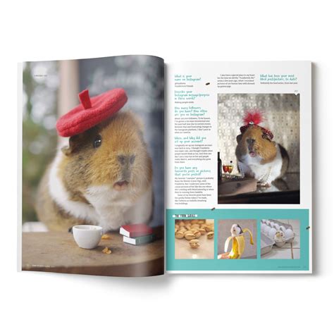 Home Guinea Pig Magazine