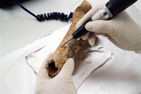 Carbon Dating Stock Image H170 0048 Science Photo Library