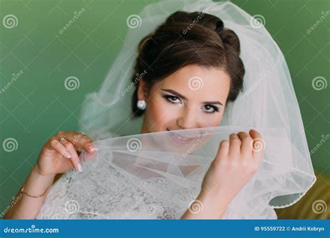 Beautiful Young Shy Bride Hiding Behind Her Veil Stock Photo Image Of