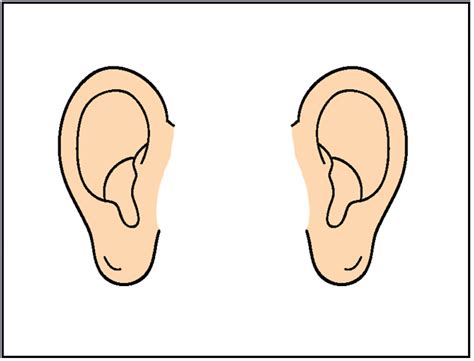 Free Open Ears Cliparts Download Free Open Ears Cliparts Png Images