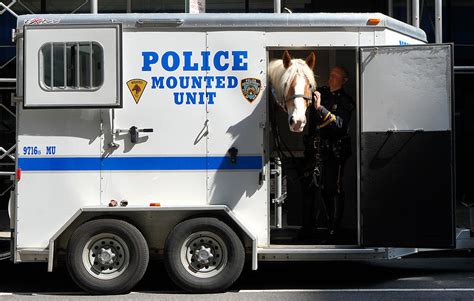 Nypd Mounted Unit 2 Photograph By Andrew Fare