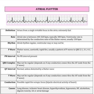 Cardiac Rhythm And Dysrhythmias Cheat Sheet Pages Long Etsy