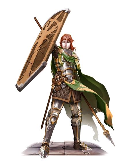 Male Elf Fighter Shield Spear Pathfinder 2e Pfrpg Pfsrd Dnd Dandd 35