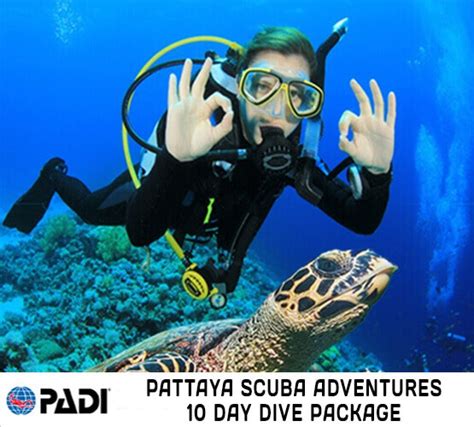 10 Day Dive Package Pattaya Scuba Adventures Thailand