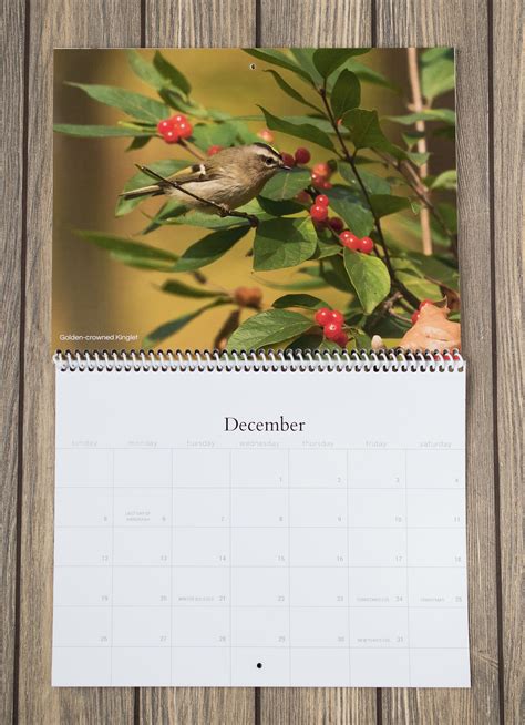 2021 Bird Wall Calendar Bird Calendar Songbird Calendar Etsy