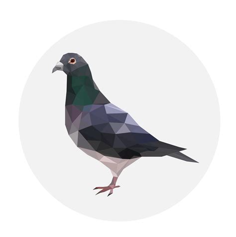 Pigeon Transparent Background Png Svg Clip Art For Web Download Clip