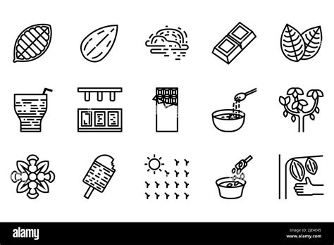 Cacao And Chocolate Vector Line Icons Set Process And Products Vector