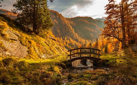 Bridge In Autumn Forest Wallpaper And Background Image