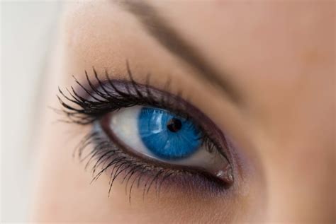 ¿quieres Tener Ojos Azules Ahora Ya Es Una Realidad Ciencia Express