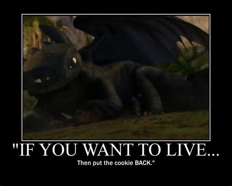 Toothless Memes School Of Dragons How To Train Your Dragon