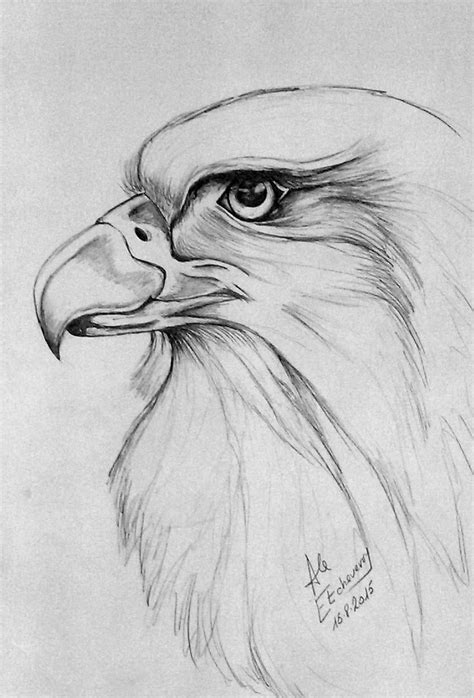 Paginas de dibujos, Dibujos, Animales dibujados a lapiz