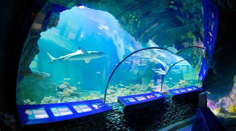 Sea Life Aquarium In Munich Uk