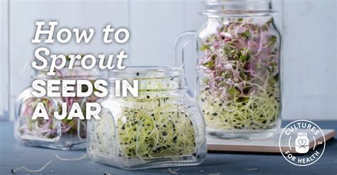 How To Sprout Seeds In A Jar Cultures For Health