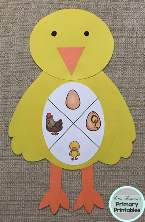 All about the life cycle of a chicken. Chicken Life Cycle Craft | Life cycle craft, Life cycles ...