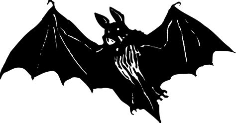 Creepy Clipart Bat Outline Pencil And In Color Creepy Clipart Bat