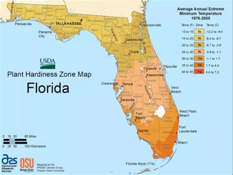 florida planting zones sunday gardener