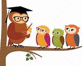 Pictures of Owl Online Learning