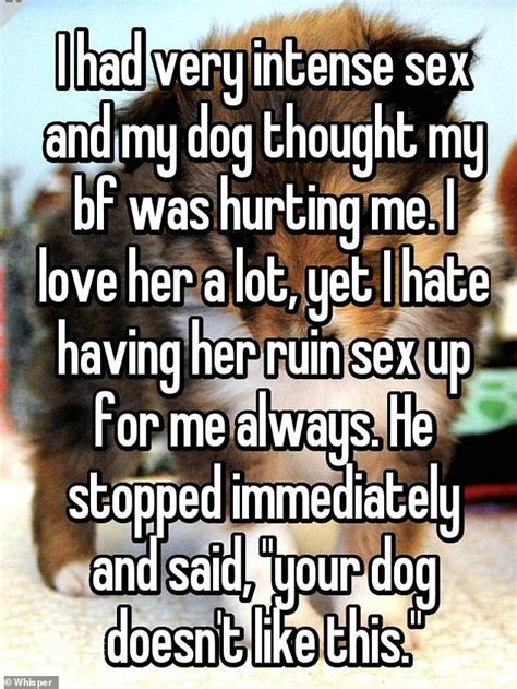 People Share Hilarious Stories Of Times Their Pets Were In The Room