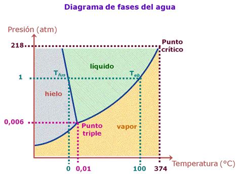 Diagrama De Fases Presion Temperatura Images And Photos Finder