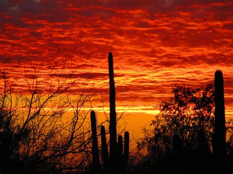 Sonoran Desert Sunset 2 Photograph By John Diebolt