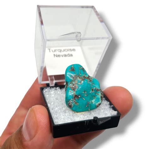Turquoise Nevada Authentic Gemstone Varieties In Perky Boxes Miami