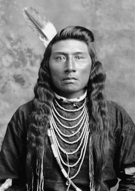 Cherokee Indian Female Features White Wolf 1800s 1900s Stunning
