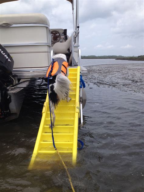 The product is made out of aircraft aluminium which provides good resistance and toughness. Abby loves her awesome dog boat ladder - get the details ...