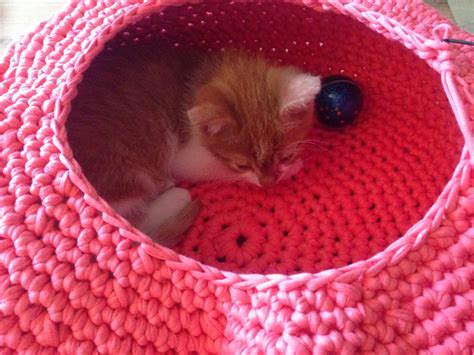 Free crochet the cat's meow cave or bed pattern: Lily Razz: Crocheted Cat Nest