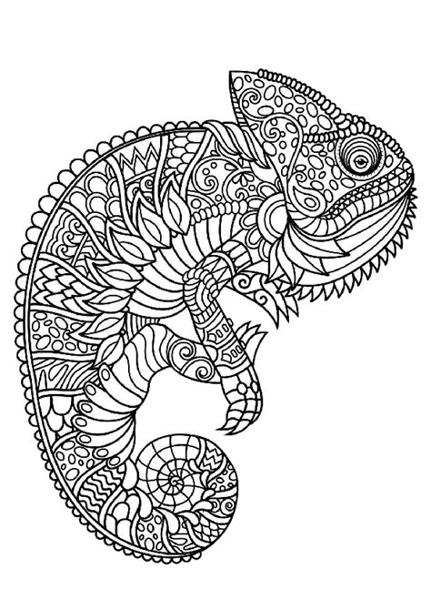 Printable Adult Animal Chameleon Coloring Pages Hard To Color Print