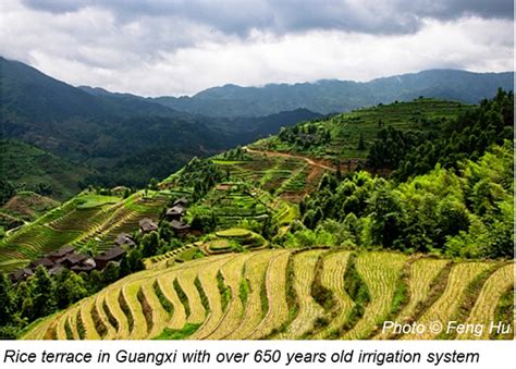 8 Reasons To Invest In Irrigation In China China Water Risk