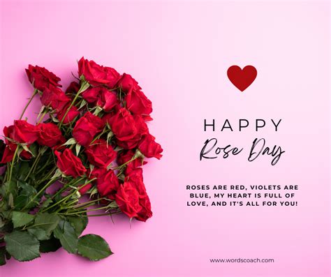 Happy Rose Day 2024 Wishes Quotes And Messages Word Coach