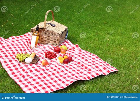 Picnic Basket With Products And Bottle Of On Checkered Blanket In